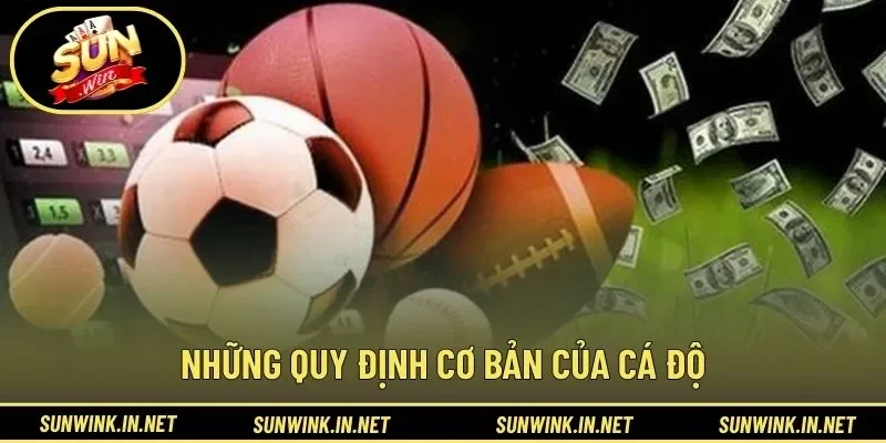 Những quy định cơ bản của cá độ