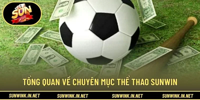 Tổng quan về chuyên mục thể thao SUNWIN
